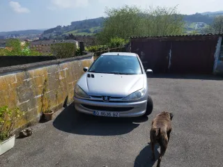 Peugeot 206 1998