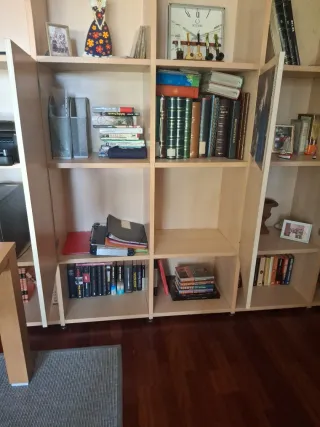 Despacho moderno con 2 Librerías y mesa estudio ex