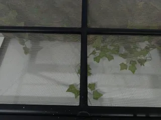 Terrario Exo Terra Large Low 90x45x30