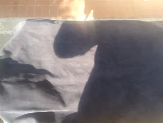 Scampoli vera pelle marrone e blu