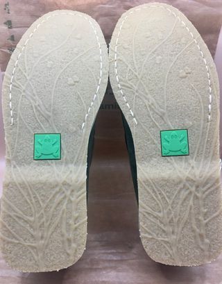 Nauticos Ante El Naturalista Verde Bosque