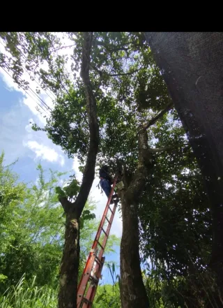 Busco trabajo como peón se pintar, electricidad