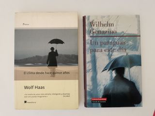 Un paraguas para ese día. Wilhelm Genazino