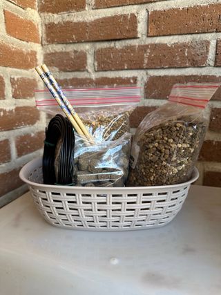 Kit cultivo en colador para bonsai