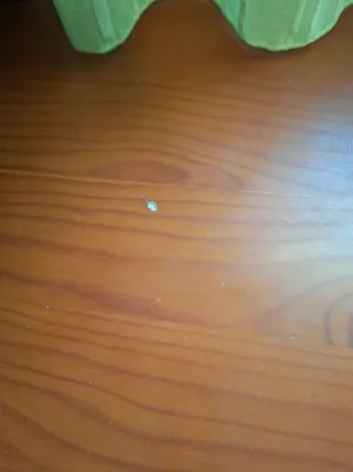 Muebles dormitorio juvenil completo