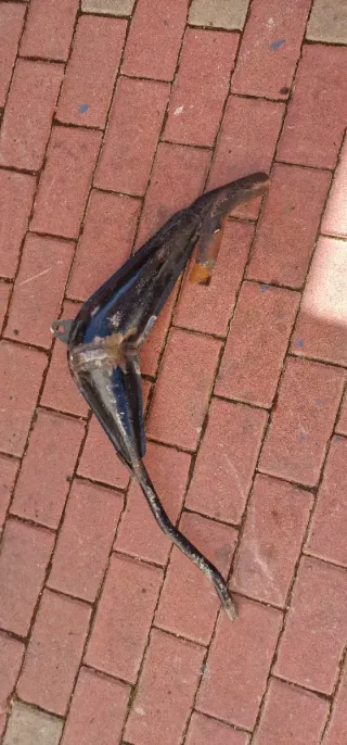 Escape bufanda Rieju RV