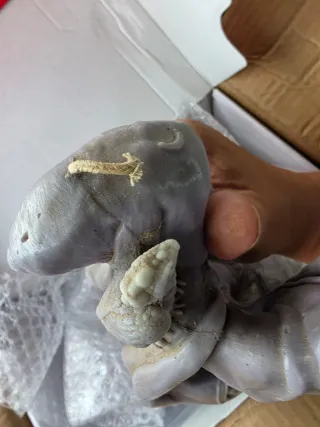 Figura Mago Detallada x30cm, es un velon+1kl.