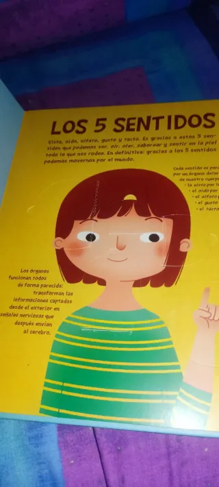 El cuerpo humano: + de 50 solapas (Imaginarium ...