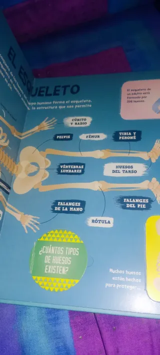 El cuerpo humano: + de 50 solapas (Imaginarium ...