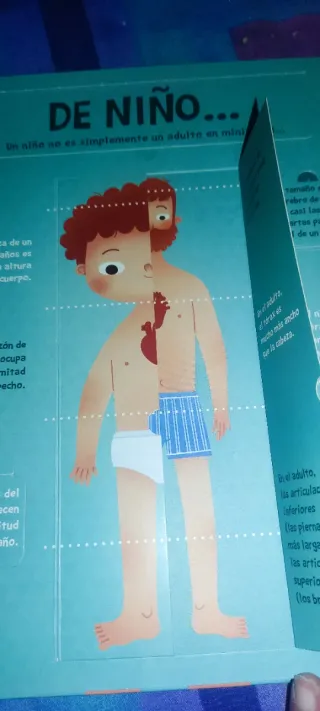 El cuerpo humano: + de 50 solapas (Imaginarium ...