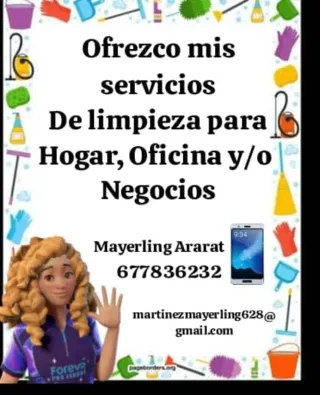 Limpieza profesional profunda