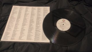 Lote 2 Vinilos David Lee Roth
