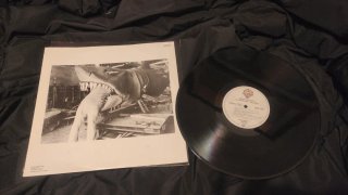 Lote 2 Vinilos David Lee Roth