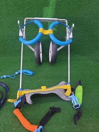 Sedia a Rotelle Regolabile per Cani, Animali Domestici