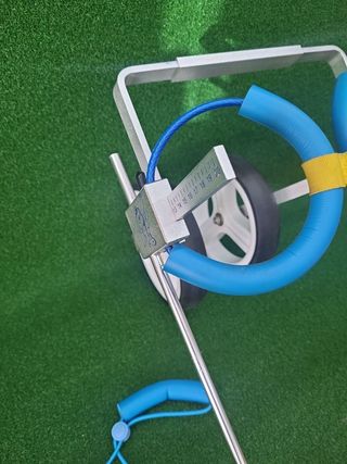 Sedia a Rotelle Regolabile per Cani, Animali Domestici