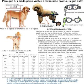 Sedia a Rotelle Regolabile per Cani, Animali Domestici