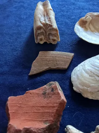 RESTOS DIVERSOS D PUTICULUM (PUDRIDERO) ROMANO S.I