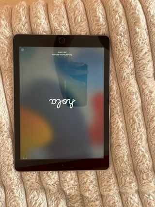 Apple iPad 2017 Plata
