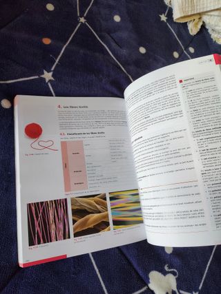 Tecnologia i Enginyeria 1r Batxillerat