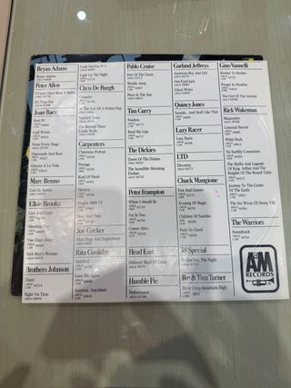 The Police Outlandos d'Amour LP Vinilo