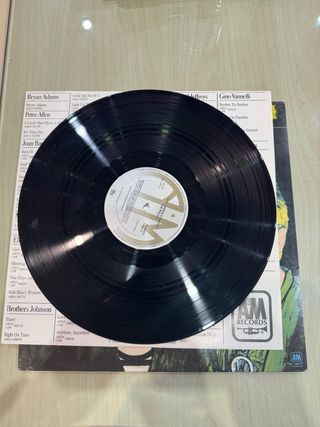 The Police Outlandos d'Amour LP Vinilo