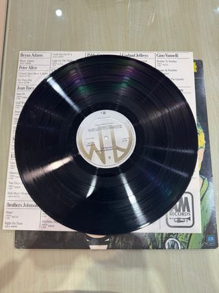 The Police Outlandos d'Amour LP Vinilo