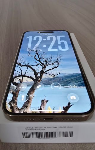 IPhone 14 Pro Max 256gb Gold