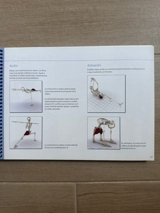 Los músculos clave en el hatha yoga (Spanish Ed...