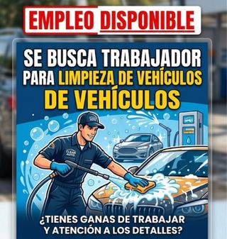 Lavados profesionales para vehículos.
