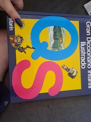 Gran diccionario infantil ilustrado