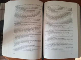 Libro  "Un mundo sin fin"