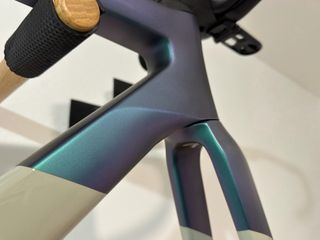 Cuadro Rose Xlite 06 - Talla S