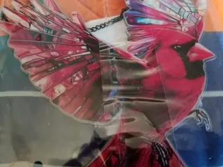 Atrapasol Cardenal Multicolor