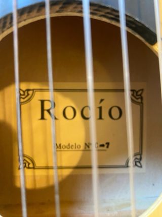 Guitarra Rocio C7