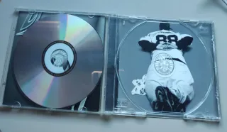 CD Ruff Ryders Ryde or Die Vol.1