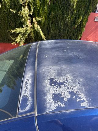 Ford Focus Cabrio 2008