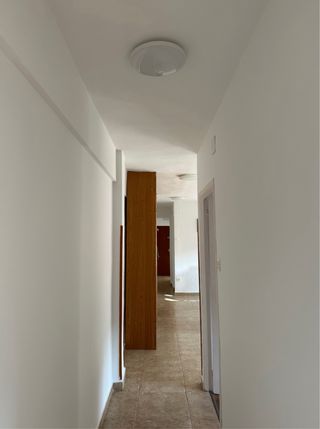 Piso en alquiler en Aviles