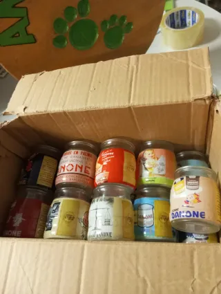 Vasos de yogur Danone (pack 20)