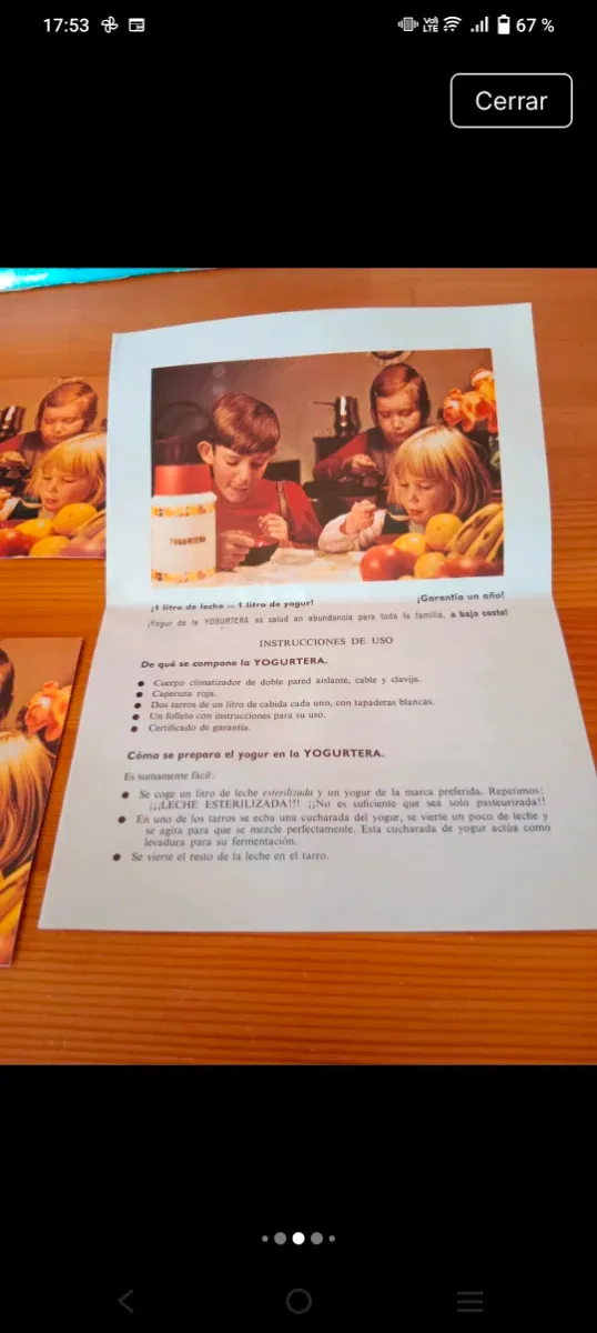 Yogurtera Rumbo Vintage Años 70