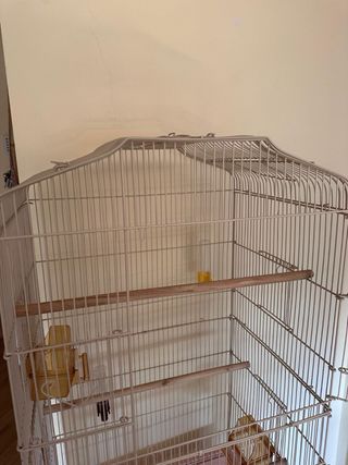 Jaula grande para pájaros beige y rosa