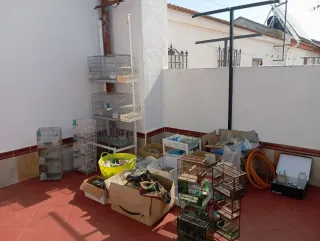 Accesorios y jaulas para cría de pájaros