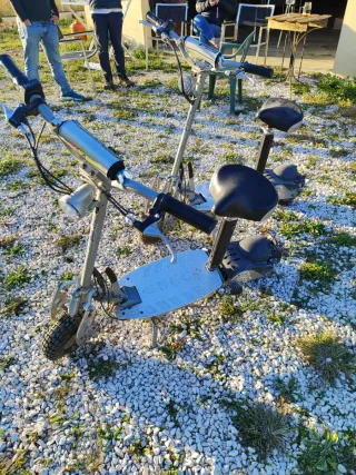 Pareja Patinetes Raycool Scooter