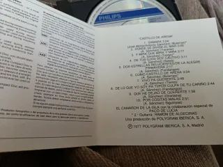 CD Camarón de la Isla - Castillo de arena