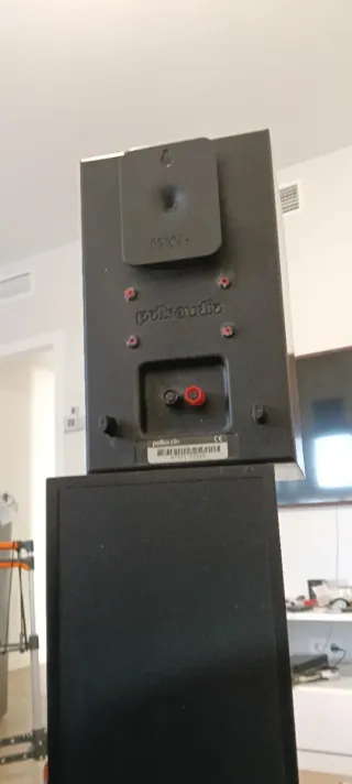 Lote Altavoces Polk Audio R40 + RT15i