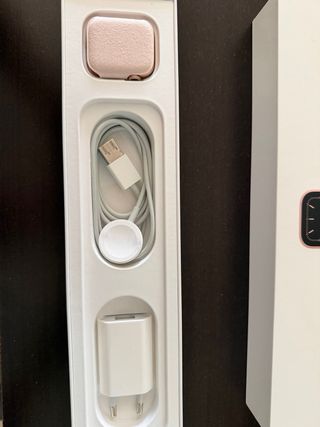 Apple Watch Series 5 Rosa/Oro Rosa