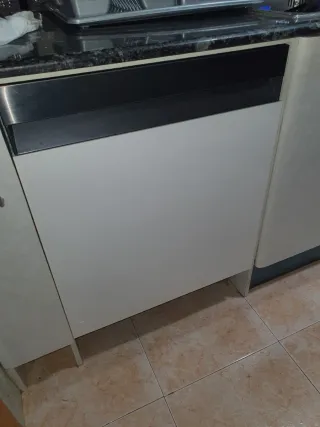 Lavavajillas Samsung