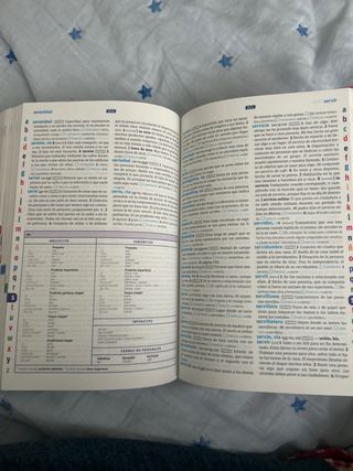 Diccionario Básico Primaria. Lengua española