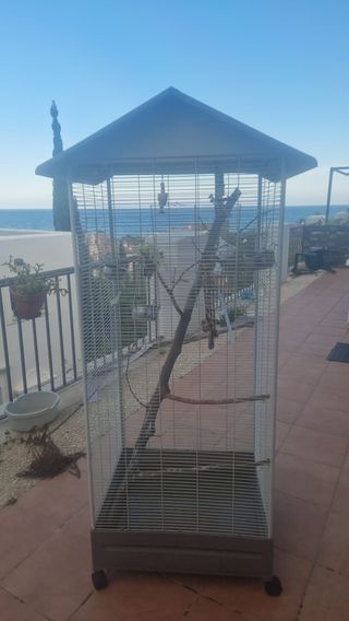 Jaula grande loros 165cm con ruedas y accesorios