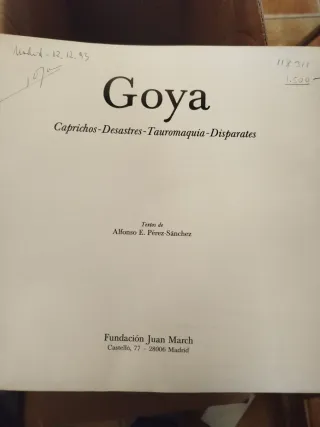 Libro Goya