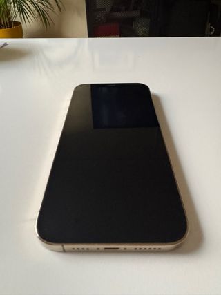 iPhone 12 Pro Max 256 GB